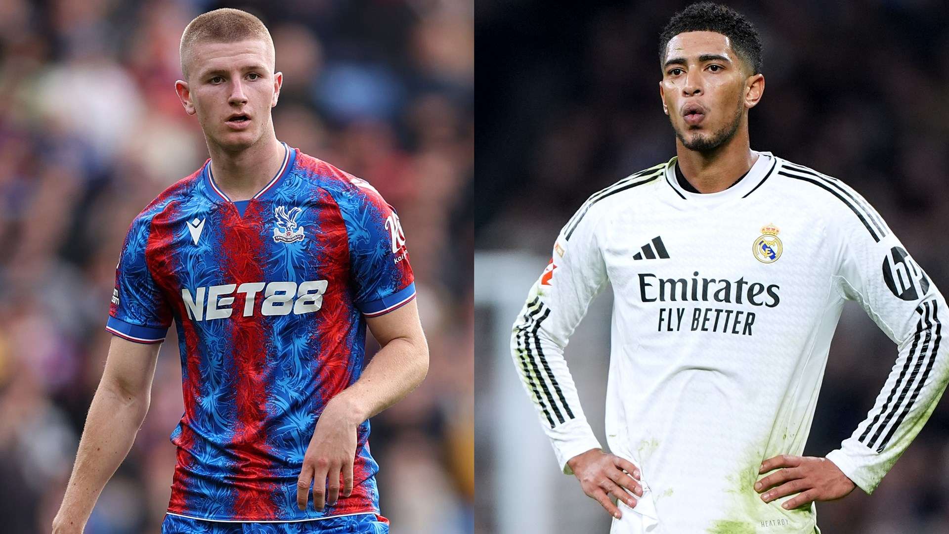 為他日後的 為他日後的